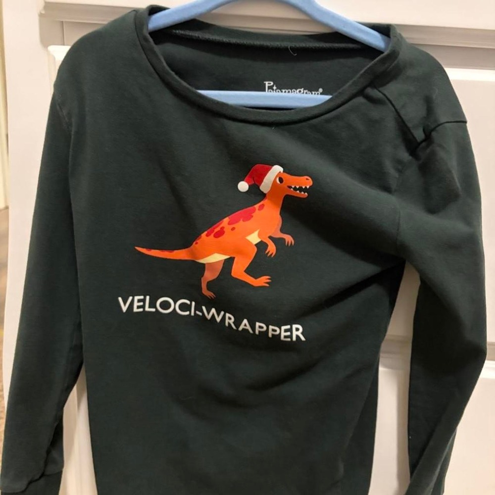 Pajamagram Veloci-Wrapper Christmas Dinosaur Long Sleeve Shirt Green Kids 6